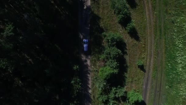 Vista desde arriba coche a caballo en la sombra. Drone vista coche va cerca de bosques — Vídeo de stock