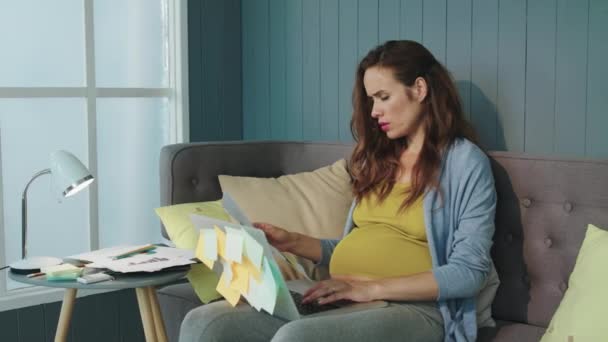De cerca enfocada mujer de negocios embarazada que trabaja en el ordenador portátil en el sofá interior . — Vídeo de stock