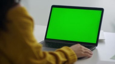 Back view unrecognized woman looking green screen laptop computer in office.