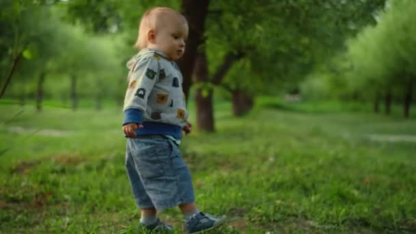 Malý kluk se dívá na létající míč. Vtipné batole kráčející v zeleném lese. — Stock video