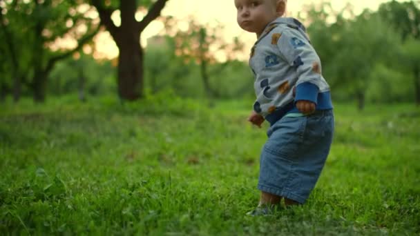 Um bebé a andar na floresta verde. Close up de adorável criança ao ar livre — Vídeo de Stock