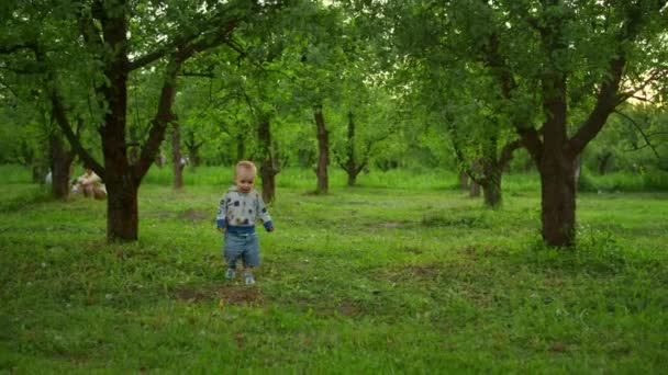 Милий малюк ходить у лісі. Двоє братів і сестер грають з м'ячем на вулиці — стокове відео