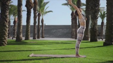 Kadın parkta palmiye ağacı pozu veriyor. Kız dışarıda yoga yapıyor.