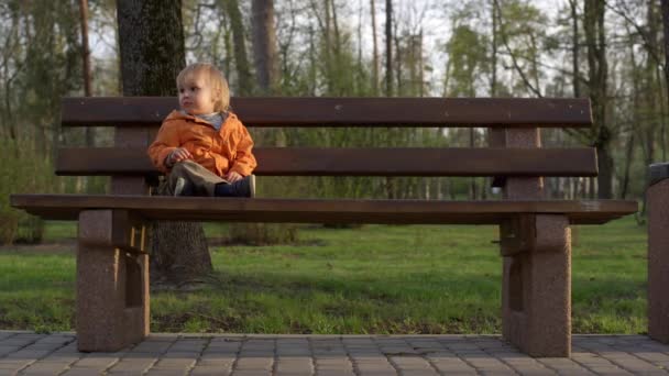 Mały chłopiec siedzi na drewnianej ławce w parku. Mały chłopiec uśmiecha się na tle lasu — Wideo stockowe