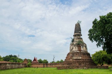 Harabe pagoda Budizm Tapınak