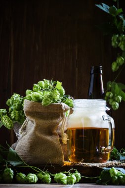 Cam kavanozda köpüklü bira, kahverengi şişe ve taze yeşil hop konileri 