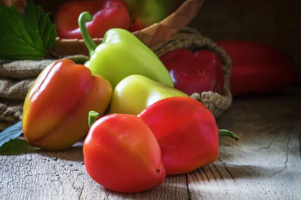 Fresh crop of bell peppers — Stock Photo, Image