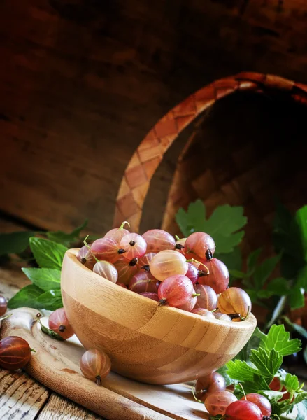 Mogna färska krusbär i en träskål — Stockfoto