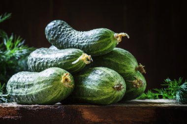 Fresh organic cucumbers.   clipart