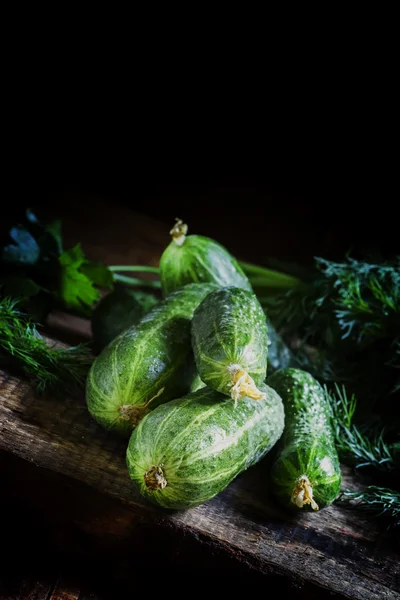 Pepinos orgánicos frescos . — Foto de Stock