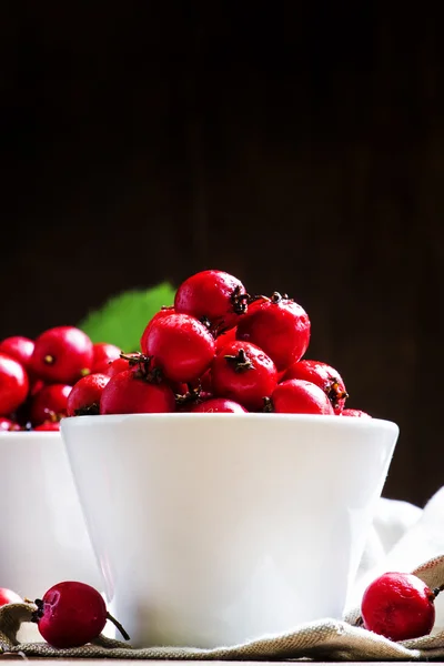 Verse hawthorn bessen in de witte porseleinen kommen — Stockfoto