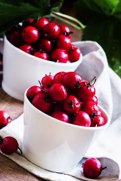 Bayas frescas de espino en cuencos de porcelana blanca — Foto de Stock