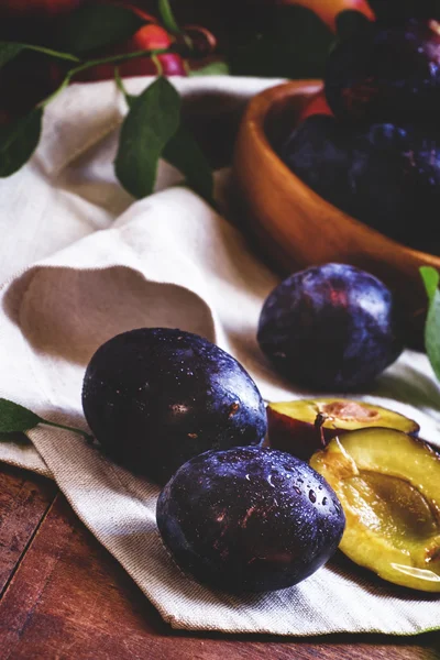 Prunes bleues aux feuilles — Photo