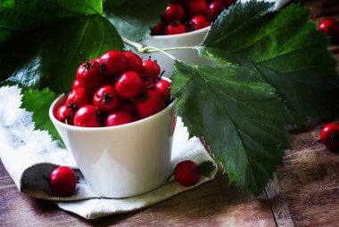 Fresh hawthorn berries in white porcelain bowls clipart