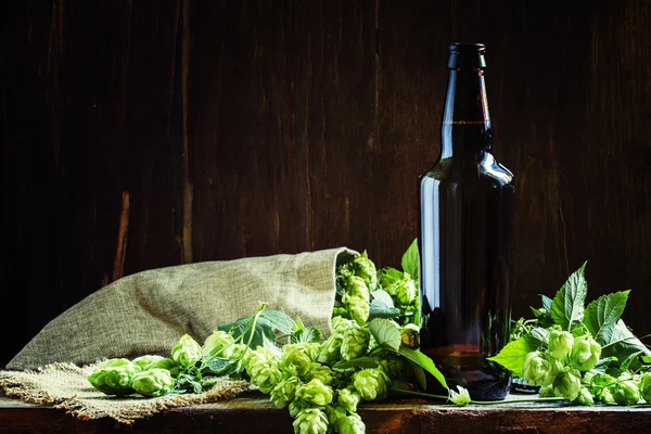 Lager bière en bouteille brune avec cônes de houblon — Photo