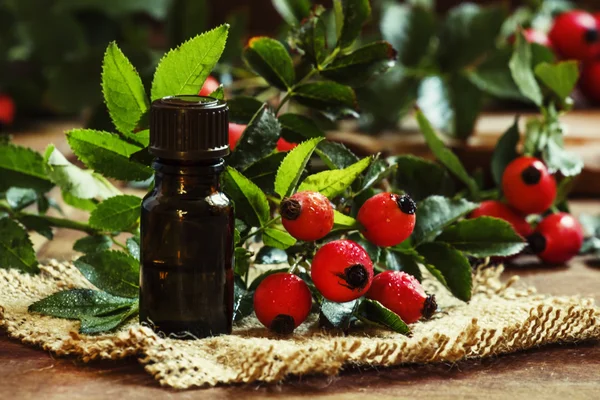 Essential oil of rosehip and fresh berries and leaves — Stock Photo, Image