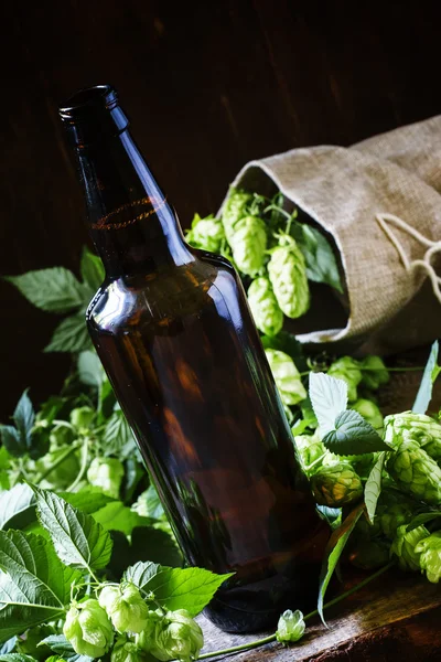 Cerveza de cerveza en botella marrón con conos de lúpulo — Foto de Stock