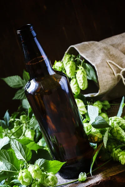 Lagerbier in brauner Flasche mit Hopfendolden — Stockfoto