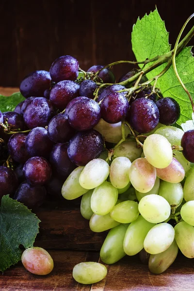 Lokale druiven van zuidelijk Rusland en Noord-Kaukasus — Stockfoto