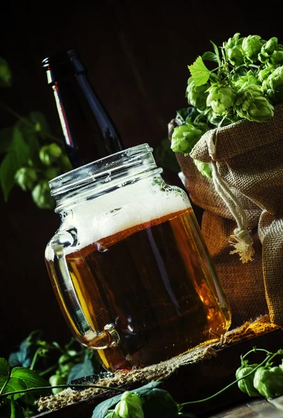 Bière avec mousse dans un bocal en verre, bouteille brune et cônes de houblon vert frais — Photo