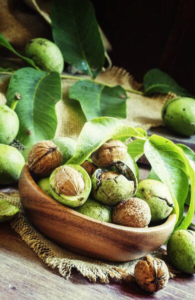 Fresh walnuts in a green shell with leaves