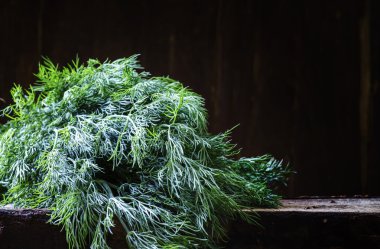 Eski bir huş panosuna taze dereotu