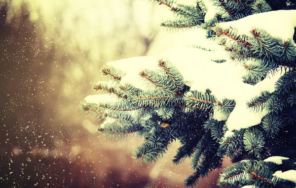 Vintage tonificado Navidad o Año Nuevo tarjeta de vacaciones — Foto de Stock