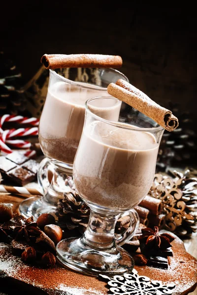 Warme chocolademelk met kaneel, chocolade en noten — Stockfoto