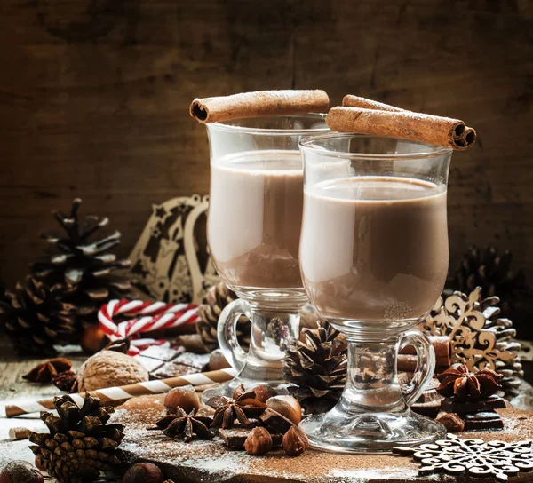 Horké kakao se skořicí, čokoládou a ořechy — Stock fotografie