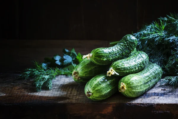 Frische Bio-Gurken. — Stockfoto