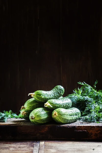 Verse biologische komkommers. — Stockfoto