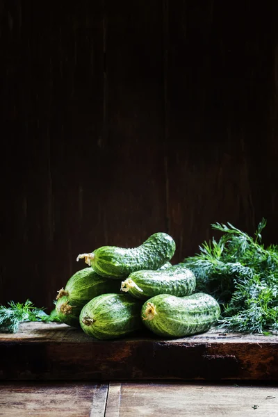 Frische Bio-Gurken. — Stockfoto