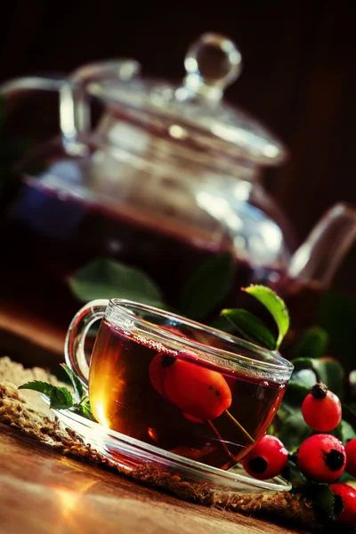Chá curativo com rosa mosqueta, medicina popular — Fotografia de Stock