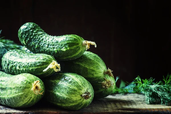 Fresh organic cucumbers. — Stock Photo, Image