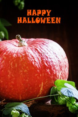 Cadılar Bayramı Balkabağı, koyu ahşap arka plan 