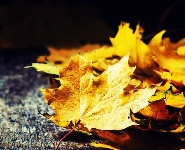 Akçaağaç yaprakları eski ahşap arka plan üzerinde