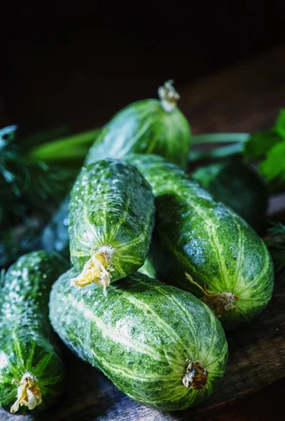 Fresh organic cucumbers. — Stock Photo, Image