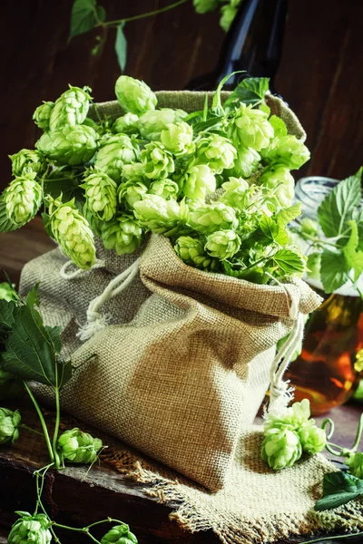 Hops in canvas bags — Stock Photo, Image