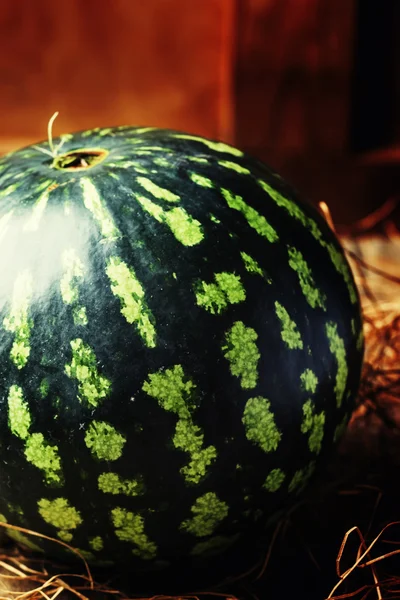 Ungeschnittene gestreifte Wassermelone — Stockfoto