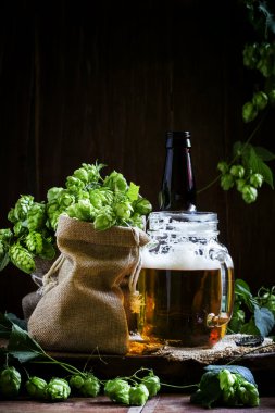 Bira ve taze şerbetçiotu kavanoz