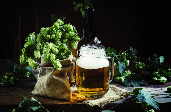 Frasco de cerveja e lúpulo fresco — Fotografia de Stock