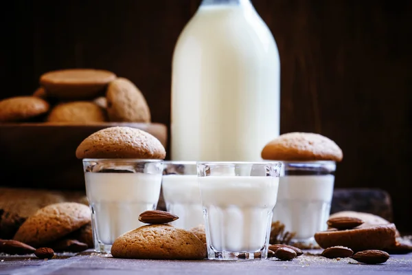 Φρέσκο γάλα και μπισκότα ξηρούς καρπούς — Φωτογραφία Αρχείου