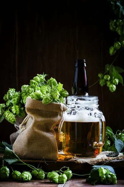 Sklenice piva a čerstvý chmel — Stock fotografie