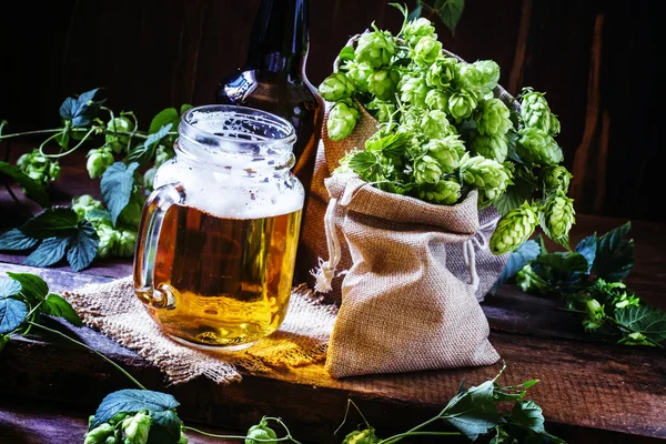 Burk av öl och färsk humle — Stockfoto