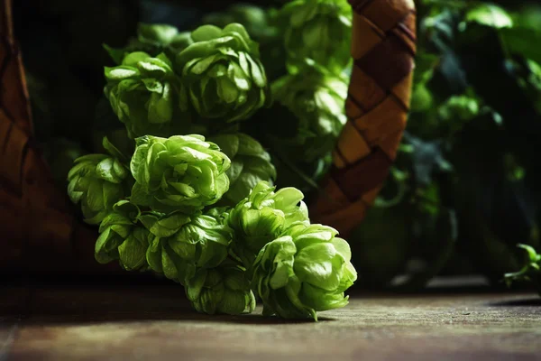 Cones de lúpulo, fundo de madeira — Fotografia de Stock