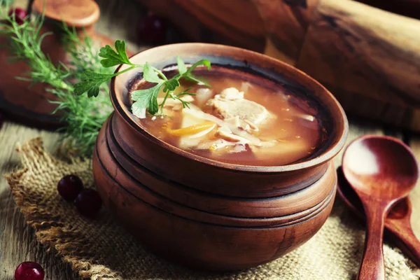Tradiční ruská polévka z kysaného zelí, maso a brambory — Stock fotografie