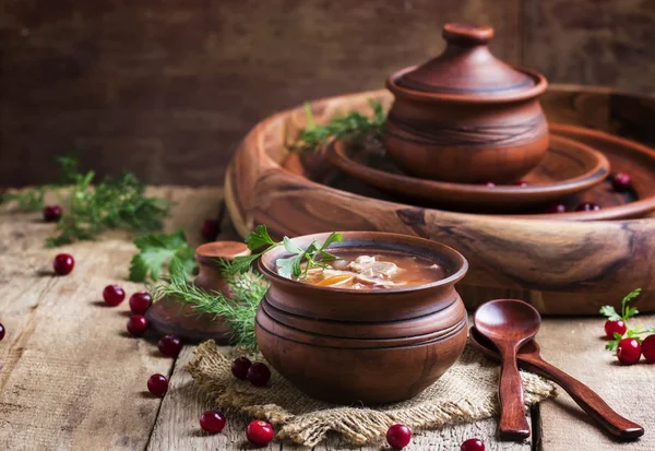 Geleneksel Rus çorbası lahana turşusu, et ve patates — Stok fotoğraf