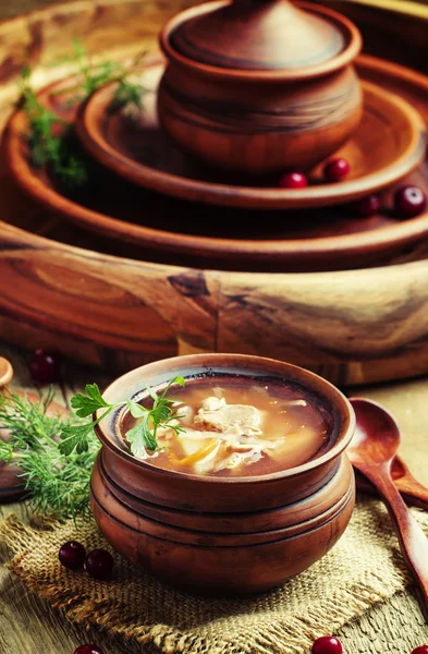 Traditional Russian soup from sauerkraut, meat and potatoes — Stock Image Traditional Russian soup from sauerkraut, meat and potatoes Stock Photo