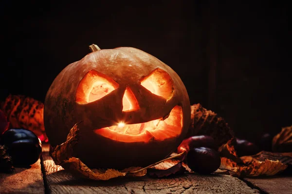 Calabaza de Halloween jack-o-linterna —  Fotos de Stock