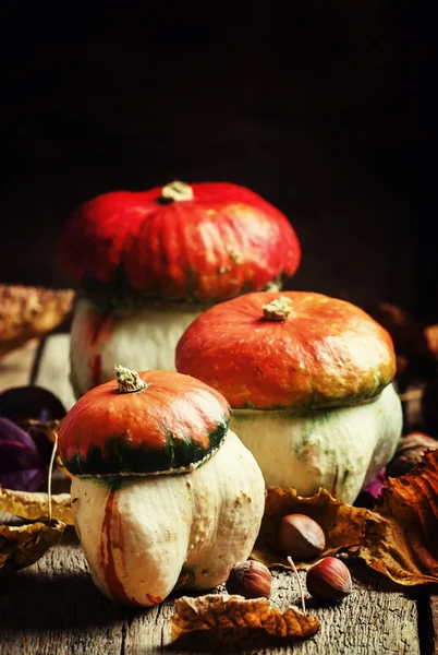 Conceito de outono. Cogumelos de abóboras decorativas — Fotografia de Stock